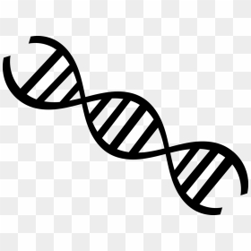 Dna Clipart Transparent Background, HD Png Download - science png