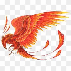 Transparent Pheonix Png - Phoenix Bird Wing, Png Download - phoenix png