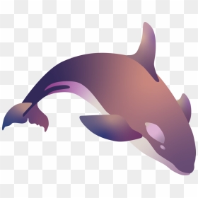 Killer Whale, HD Png Download - whale png