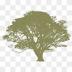 Dark Blue Oak Tree Svg Clip Arts - Silhouette Big Tree Vector, HD Png Download - oak tree png