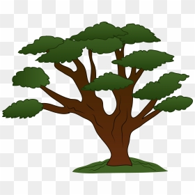 Tree With Branches Cartoon, HD Png Download - oak tree png