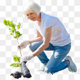 Cut Out People Garden, HD Png Download - garden png
