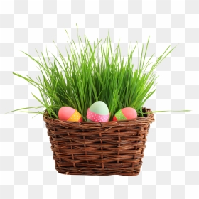 Easter Egg Basket Transparent, HD Png Download - easter eggs png