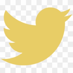 Transparent White Bird Twitter , Png Download - Yellow Twitter Logo Png, Png Download - twitter bird png
