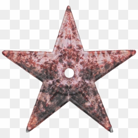 Barnstar Starfish - Asia Pacific Alliance Flag, HD Png Download - starfish png
