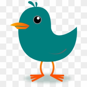 Transparent Twitter Bird Png - Bird Cartoon Png Gif, Png Download - twitter bird png