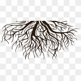 Drawing Clip Art Root Vector Graphics Tree - Tree Of Life For Breastfeeding, HD Png Download - roots png