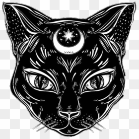 #witch #witchcraft #wicca #wiccan #witches #png #sticker - Black Cat Face Drawing, Transparent Png - witch png