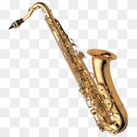 Transparent Trumpet Png - Alto Saxophone, Png Download - trumpet png