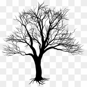 Png Black And White Download Camo Drawing Oak Tree - Kill A Mockingbird Tree, Transparent Png - oak tree png