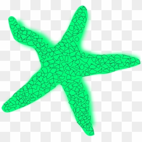 Starfish Clipart Star Fish - Star Green Fish, HD Png Download - starfish png