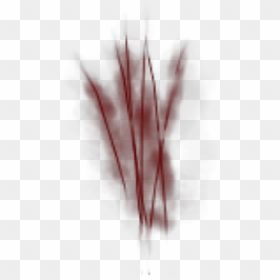 Scratches Clipart Pictures Free - Grass, HD Png Download - scratches png