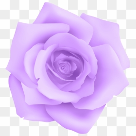 Lavender Clipart Lavender Rose, Lavender Lavender Rose - Purple Rose Png, Transparent Png - lavender png