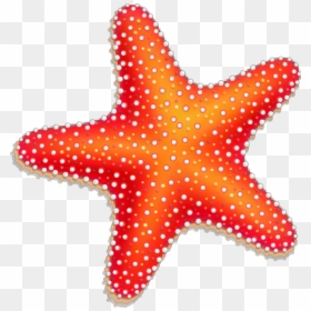 Winter Starfish Clipart Svg Freeuse Download Pin By - Clip Art Starfish Cartoon, HD Png Download - starfish png