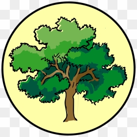 Tree Oak Circle Nature Plant Symbol Timber Bark - Tree Drawing With Color, HD Png Download - oak tree png