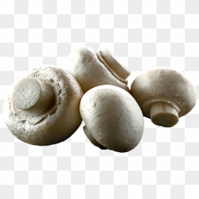 White Button Mushrooms - Transparent Button Mushroom Png, Png Download - mushroom png