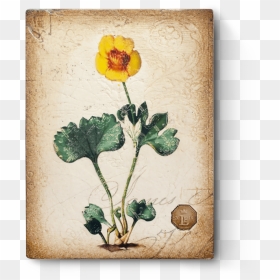Rated R Png , Png Download - Buttercup, Transparent Png - rated r png