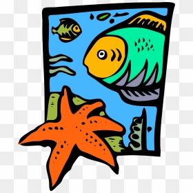 Marine Science Clipart, HD Png Download - starfish png
