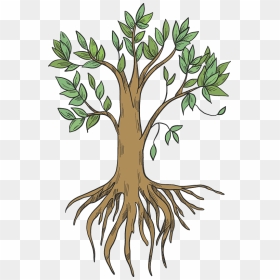Tree With Roots Clipart, HD Png Download - roots png