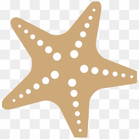 Starfish Png Free Download - Portable Network Graphics, Transparent Png - starfish png