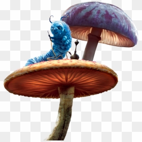 Caterpillar Mushroom Mushrooms Aliceinwonderland Alicei - Caterpillar Png Alice In Wonderland, Transparent Png - alice in wonderland png