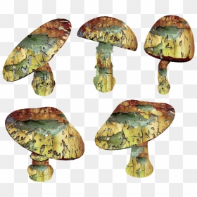Trippy Mushroom Png - Magic Mushrooms Png, Transparent Png - mushroom png