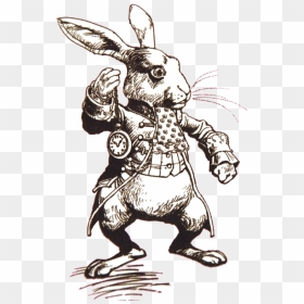 Thumb Image - Alice In Wonderland Rabbit Drawing, HD Png Download - alice in wonderland png