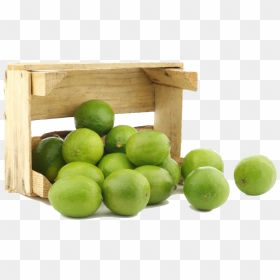 Fresh Juicy Limes - Lime, HD Png Download - lime png