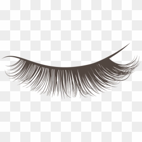 Best Lashcraft Eyelash Extensions - Transparent Background Lashes Clipart, HD Png Download - eyelash png