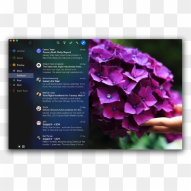 Canary Mail Setapp - Hydrangea, HD Png Download - mail png
