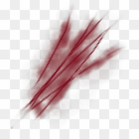 Mugshot Criminal Blood Png, Transparent Png - scratch png
