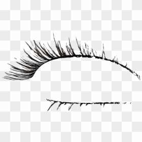 Lashes Png Transparent Image - Transparent Realistic Eyelashes Png, Png Download - eyelash png