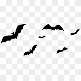 Bat Png Download - Halloween Bat Silhouette Png, Transparent Png - bats png