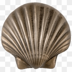 Metal Scalloped Seashell Clip Arts - Metal Seashells, HD Png Download - seashell png