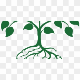 Transparent Tree With Roots Png - Plants Growing In Brain, Png Download - roots png