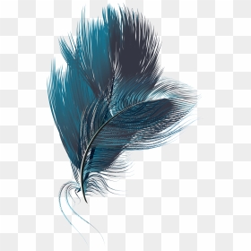 Feather Computer File - Portable Network Graphics, HD Png Download - feathers png