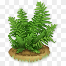Image Lush Hay Day - Plant Png Hayday, Transparent Png - fern png