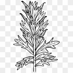 Harsh Paintbrush Clip Arts - Indian Paintbrush Coloring Page, HD Png Download - paintbrush png