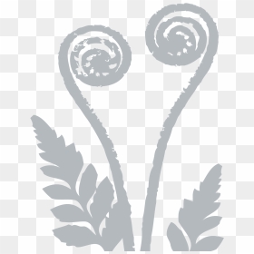 Silver Fern , Png Download - Nz Fern Background Clipart Free, Transparent Png - fern png