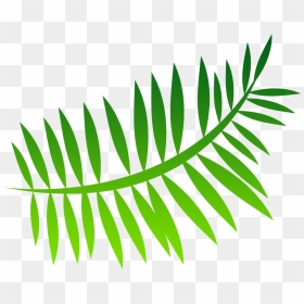 Fern Png Image - Palm Leaf Cartoon Transparent, Png Download - fern png