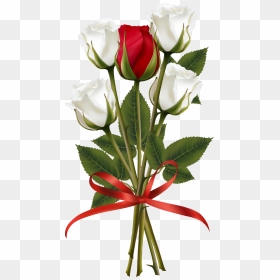 Red And White Rose Clipart - Transparent Flower Bouquet Png, Png Download - white rose png