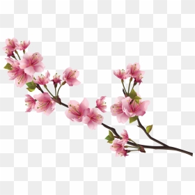 Pink Flower Png, Transparent Png - pink flower png