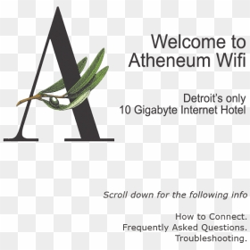 Graphic Design, HD Png Download - wifi png