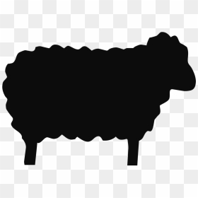Black Sheep Clip Art - May Be The Black Sheep, HD Png Download - sheep png