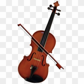 Bass Violin Cello Violone Viola - Viola Png, Transparent Png - violin png