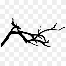 Silhouette, HD Png Download - tree branch png