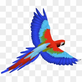 Flying Parrot Clipart, HD Png Download - feathers png