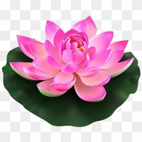 Lotus Flower Png Hd Image - Lotus Flower, Transparent Png - lotus flower png