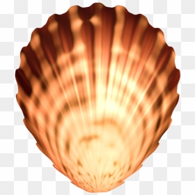 Seashell Png Image Transparent - Portable Network Graphics, Png Download - seashell png