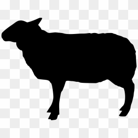 Sheep - Cow Black Png, Transparent Png - sheep png